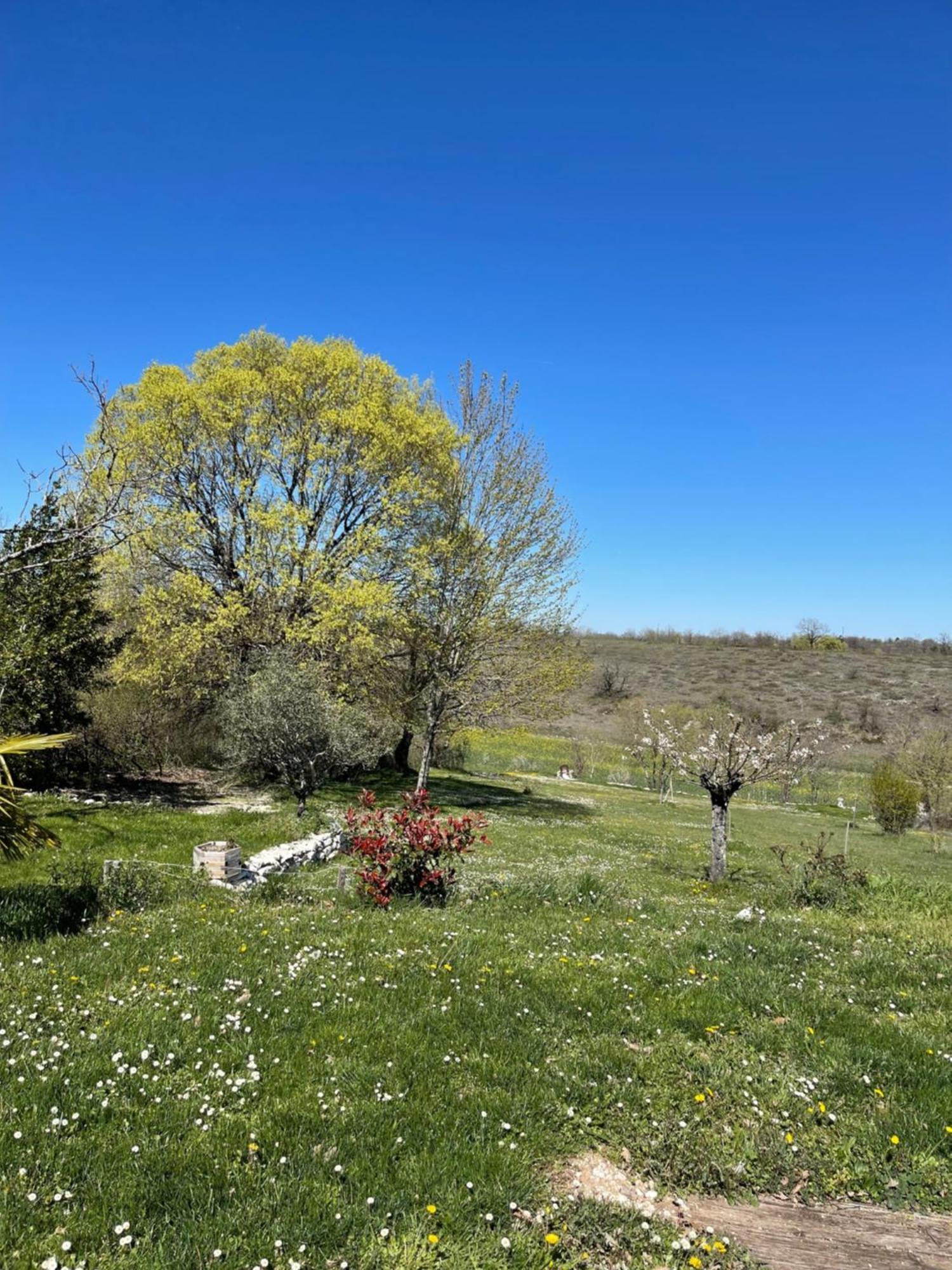 Villa Le Paradis Pern Exteriör bild